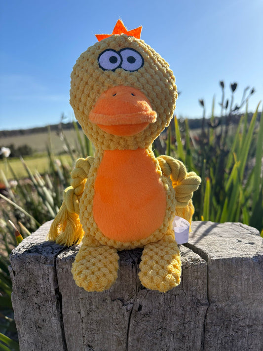 Daisy The Duck Pet Toy