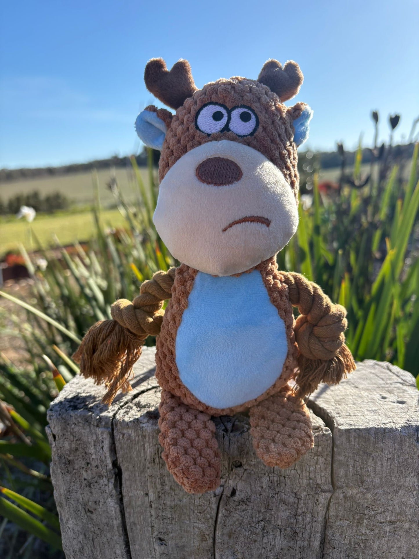 Duncan The Deer Pet Toy